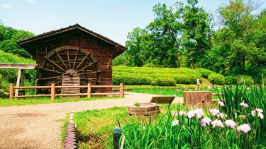 【初夏】大和民俗公園を散策！紫陽花や菖蒲が見ごろ！