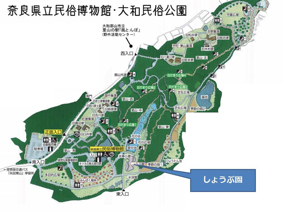 初夏 大和民俗公園を散策 紫陽花や菖蒲が見ごろ