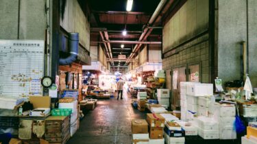 【一般人でもＯＫ】奈良県中央卸売市場で鮮魚と青果を買う！