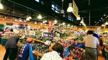 【大和郡山市】なんでも揃う直売所！産直市場よってって！